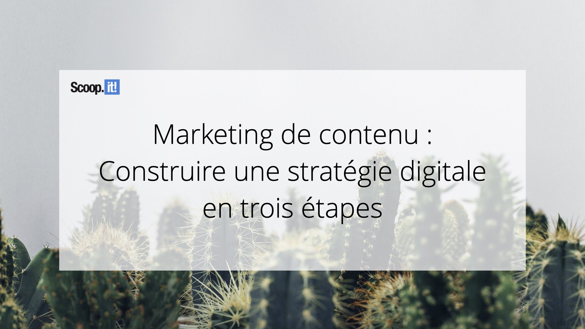 découvrez l'univers du contenu digital : explorez les dernières tendances, optimisez votre présence en ligne et engagez votre audience avec des stratégies innovantes et percutantes.