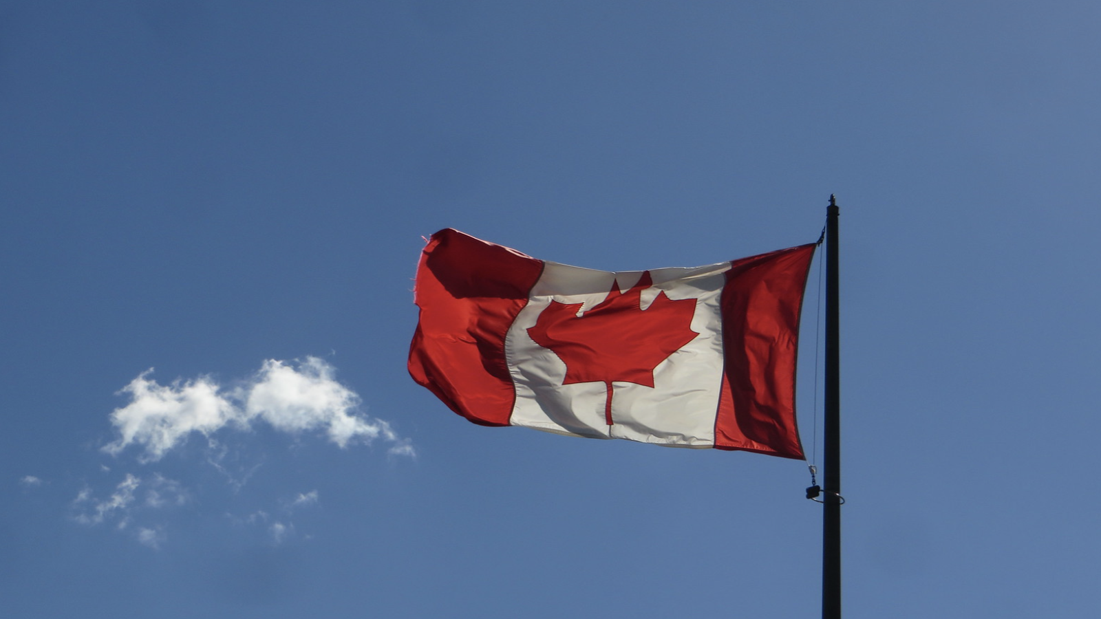 découvrez les perspectives de la montée du bitcoin vers 100 000 $ au canada. analyse des tendances du marché, prévisions d'experts et impact sur les investisseurs canadiens dans cette aventure crypto passionnante.