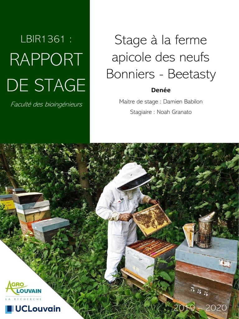 découvrez le secteur apicole, un monde fascinant où l'abeille joue un rôle essentiel dans la pollinisation et la production de miel. explorez les pratiques d'apiculture, les enjeux environnementaux et les bienfaits de cette activité pour la biodiversité et l'économie.