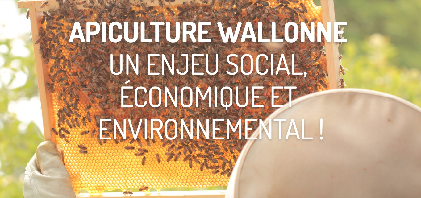 découvrez le secteur apicole, une activité passionnante et essentielle où l'apiculture joue un rôle clé dans la pollinisation et la production de miel. explorez les enjeux, les bienfaits et l'importance des abeilles pour notre écosystème.